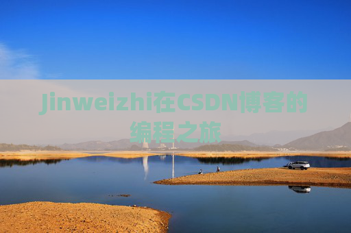 Jinweizhi在CSDN博客的编程之旅